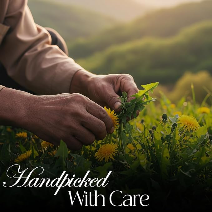 50 PACK Dandelion Tea Bags – Individual Wrapped Tea Bags – All Natural Herbal Tea | Caffeine Free | No Preservatives, No Sugar – Great For All Seasons