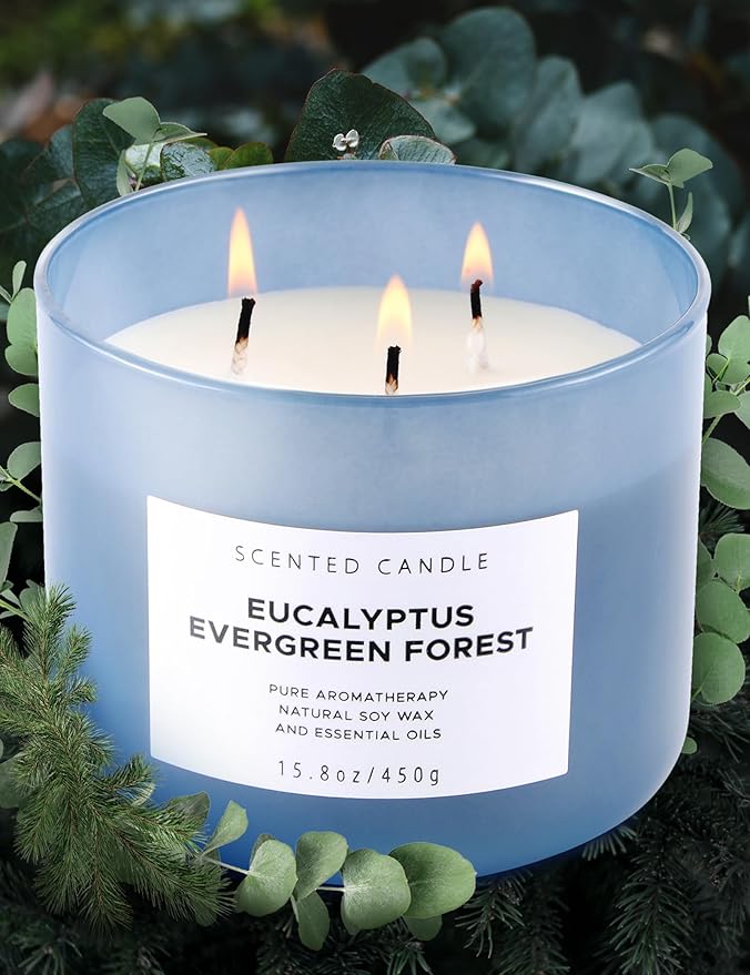 Eucalyptus Evergreen Forest 3-Wick Soy Candle, 15.8 oz | Winter Pine, Balsam Fir & Evergreen Scented Candle | Woodsy Aromatherapy Candle for Home | Clean Burn, Long-Lasting