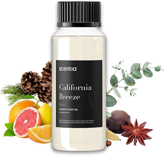 Scentia Hotel Diffuser Oil Inspired by The Delano Beach Club Hotel Scent - 120 mL 4.06 fl oz - Fragrance Oil Blend Orange, Green Tea & Jasmine for Aromatherapy Diffusers - California Breeze