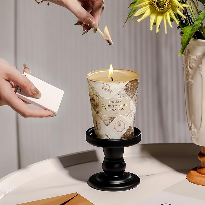 HomeLights Large jar Candle | 1-Wick Long-Lasting Scented Candles, 6.7oz Natural Soy Wax Candle for Home Scented, Rustic Modern Gifts for Women & Men, Candied Apple Cinnamon