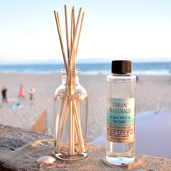 Urban Naturals Ocean Mist & Sea Salt Reed Diffuser Set | Made with Essential Oils & Real Seashells | Decorative Air Freshener Room Diffuser