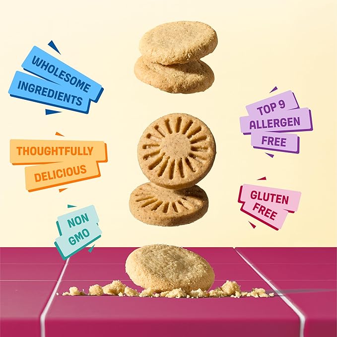 Partake Foods Gluten Free Mini Graham Cracker & Vanilla Wafer Snack Packs by Partake | Vegan & Dairy Free Cookies | Lunch Box Snacks | Allergy Friendly Snacks | Safe School Snack for Kids - 20 Pack