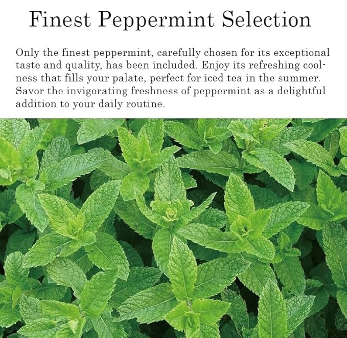 Damtuh Peppermint Tea – 100% Pure Peppermint, Caffeine-Free Herbal Tea, 10 Tea Bags (1g each)