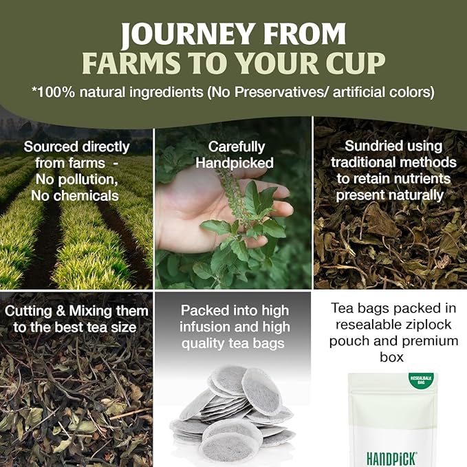 HANDPICK Original Tulsi Tea (100 count) Holy Basil Calming and Stress Relief Tea, Immune Support | Non-GMO, Caffeine-Free Herbal Tea | Ecofriendly Round Tea Bags