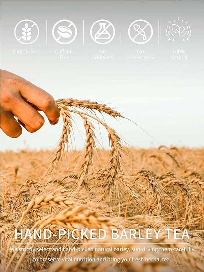 TeeLux Barley Tea Bags, 2g/bag, Pure Roasted Barley Tea, Caffeine Free, Sugar Free, Nutty Flavor, 100 Count
