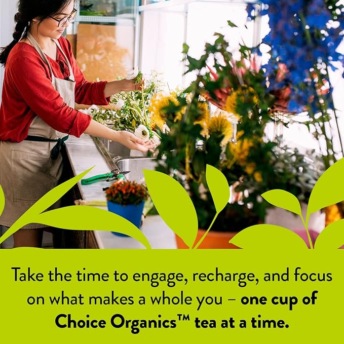 Choice Organic Teas Green Tea and Herbal Tea Variety Pack Sampler - Includes Japanese Green, Jasmine Green, White Elderflower - Compostable - 48 Organic Tea Bags (Pack of 3)