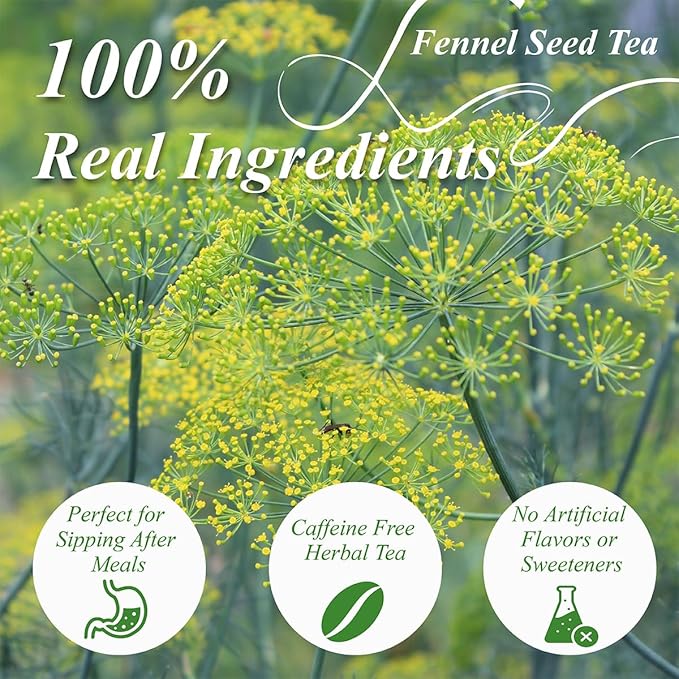 WT WEETEE Fennel Tea Bags 100 Count, 100% Natural & Pure Fennel Seeds Tea, Smooth & Sweet, No Sugar, Caffeine-Free
