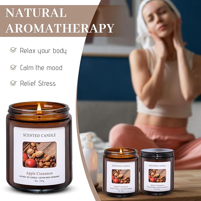 Apple Cinnamon Scented Candles for Home Scented Aromatherapy Candles, Hand-Poured, 9 OZ, 50H Clean Burn,Soy Wax Candle Gift Set for Women Men
