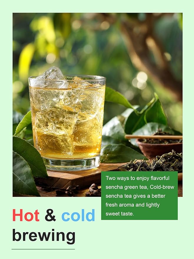 TeeLux Sencha Tea Bags, Premium Sencha Green Tea, Refreshing & Smooth Flavor, Iced & Hot Tea, 100 Count