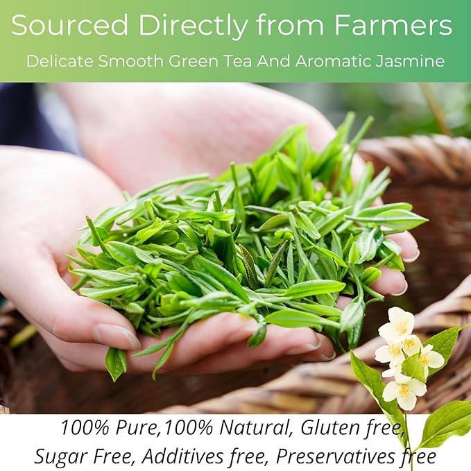 Organic Jasmine Green Tea Bags| 50 Count Unbleached ECO-Conscious Jasmine Tea Bags| VitalForest Te Verde Organico Natural Green Tea Loose Leaf| Canister Pack for Freshness