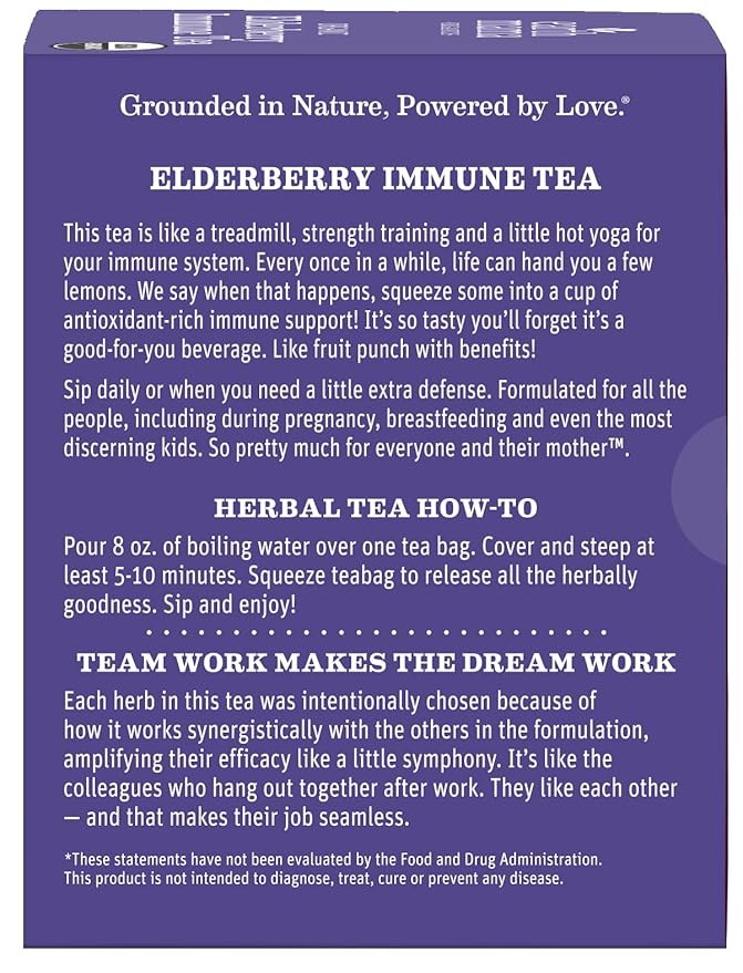 Earth Mama Organic Elderberry Immune Support Tea with Echinacea | Safe for Pregnancy, Breastfeeding, Postpartum, Kids and Family Essentials, Decaf Tea with Ginger & Rooibos (16-Count, 2-PK)