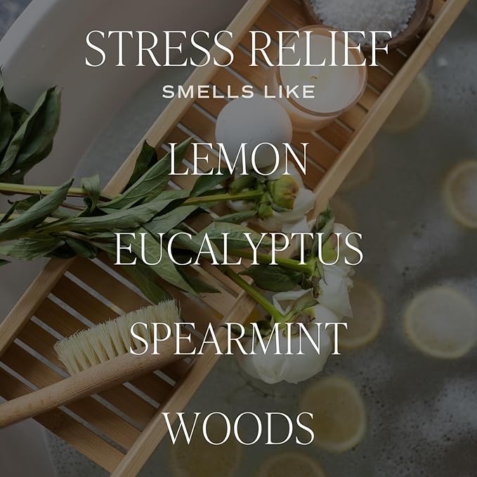 Sweet Water Decor Stress Relief Reed Diffuser – Room Decor Aesthetic with Long-Lasting Premium Fragrance of Lemon, Orange, Eucalyptus, Parsley, Lavender, and Sage for 4 Months – Ideal for Home Decor