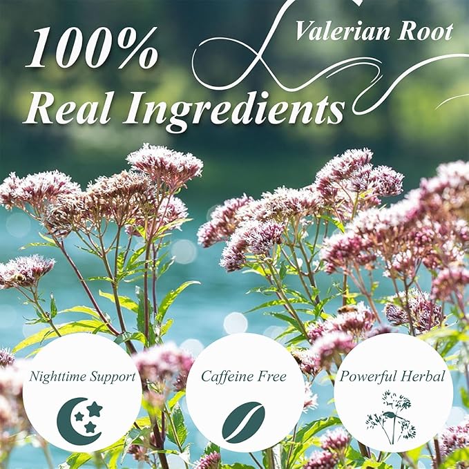 WT WEETEE Valerian Root Tea Bags, Made with Pure Valerian Root (Valeriana), 50 Count Earthy/Woody Herbal Tea Bags, Naturally Caffeine-free
