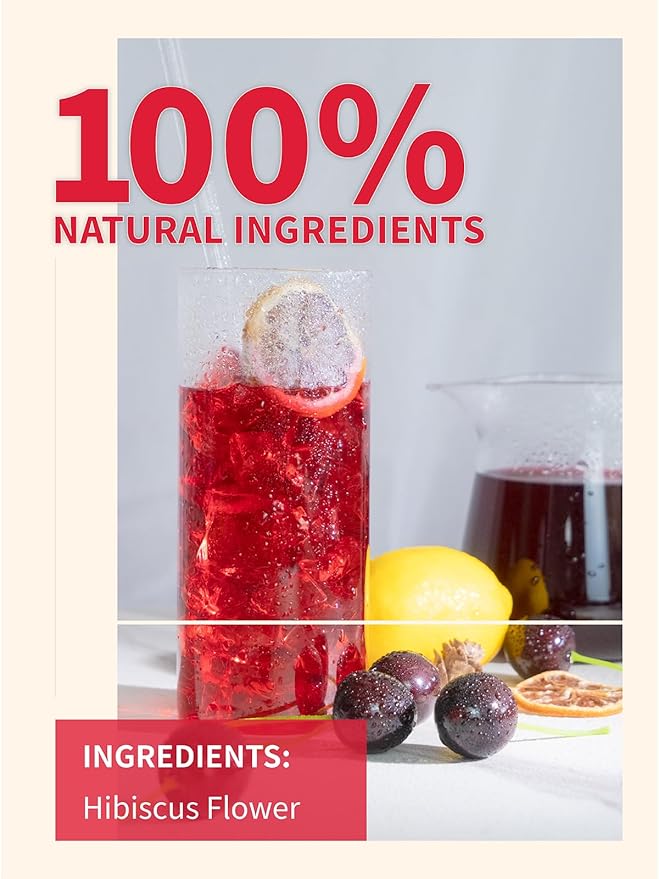 TeeLux Hibiscus Iced Tea, Family Sized Hibiscus Tea Bags, Natural Hibiscus Flowers Herbal Tea, Refreshing Tart Flavor, Caffeine Free, 20 Count