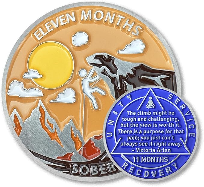 11 Month Sobriety Coin Sobriety Chips AA Chip AA Coins Sober Token Recovery Medallion NA Chips NA Coins from 1 to 12 Months Plastic case Included-Baking Paint Process