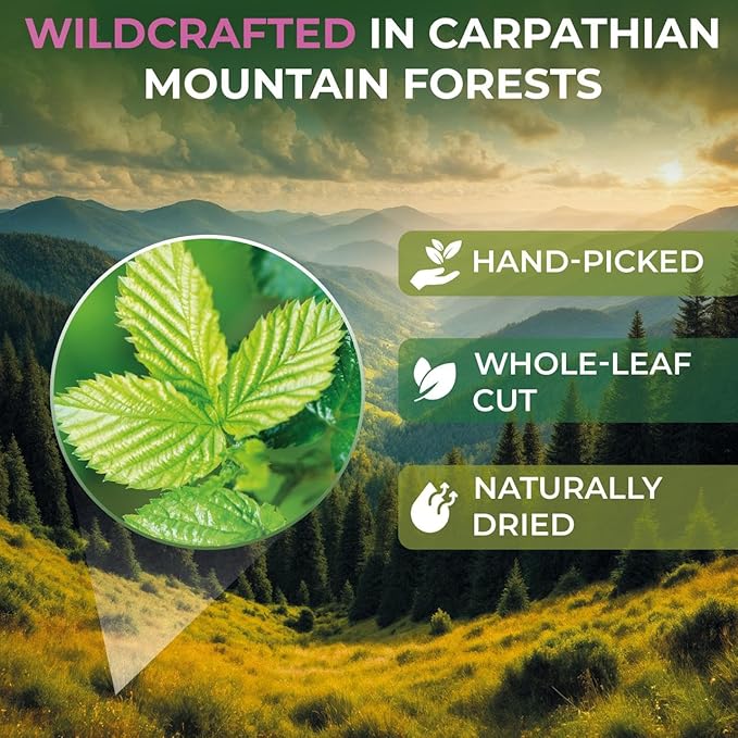 100 Bags Raspberry Leaf Tea Rasberry Leaf Herbs (Rubus Idaeus Folium) - 100 Count 1.5g Bags Rasberry Leave Tea Hojas De Frambuesa