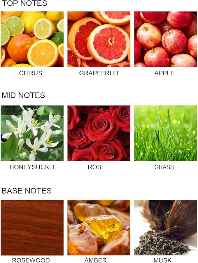 UCC Reed Diffuser Set, 3.38 oz Garden in The Rain Premium Scented Diffuser with Flower Sticks Home Fragrance Reed Diffuser for Bathroom Shelf Decor