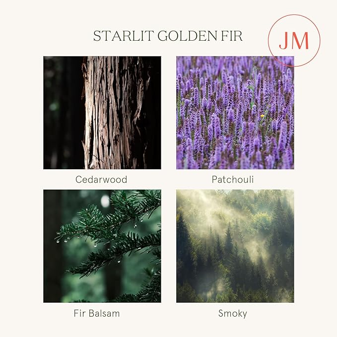 LA JOLIE MUSE Fir & Cedarwood Candle, Scented Candles for Home, Holiday Candle Gifts for Women&Men, Natural Soy Candles, Luxury Jar Candle, Starlit Golden Fir, 11oz