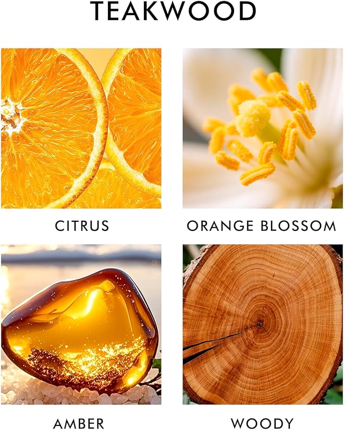 Car Air Freshener Hanging Teakwood, Essential Oil Diffuser for Car, air Fresheners for Men,2 Pack