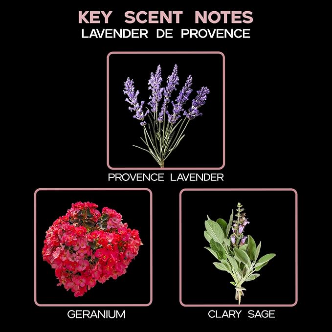 LOVSPA Reed Diffuser Set, Lavender De Provence Scented Oil Diffuser with Sticks, Home Fragrance Accessories for Bathroom Shelf Decor, Aroma Diffusers for Home or Office Desk, USA Made