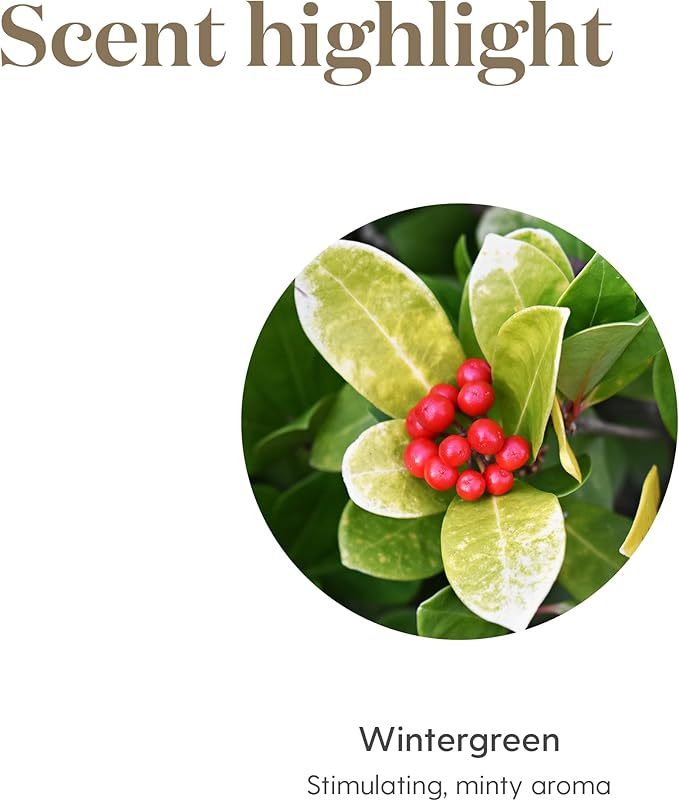 Wintergreen Pure Essential Oil 15ml by Young Living Essential Oil - Soothing Massage Oil - Experience a Refreshing and Invigorating Aura - Contains Cool & Minty Aroma