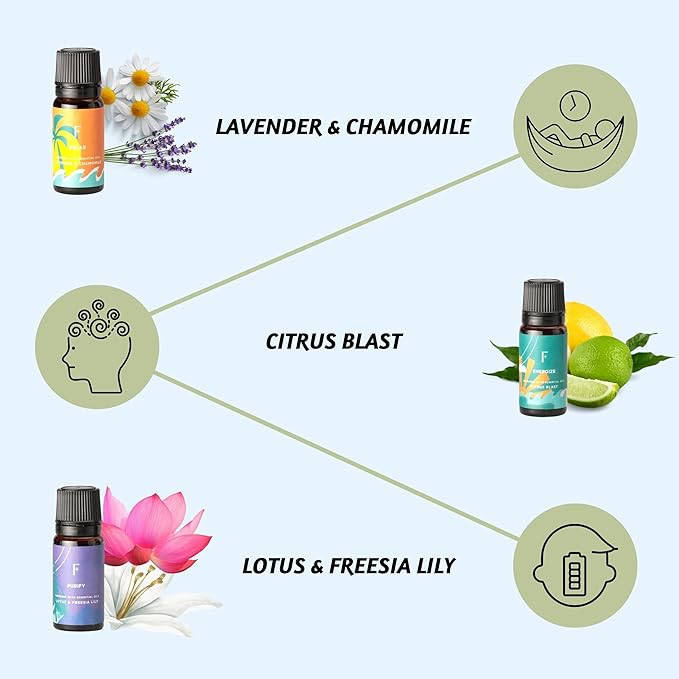 Folkulture Essential Oils for Diffuser Oil | Essential Oil Set of 6 Fragrance Oils | Diffuser Oils Scents for Home | Oil Diffusers Essential Oils Gifts for Relaxation - Lavender & Sandalwood
