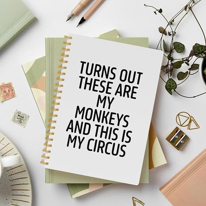 Funny Notebooks for Work, White Aesthetic Journal, Funny Boss Day Gifts, Boss Gifts for Men Women, Funny Gifts for Boss, Boss Office Decor, Spiral Notebook 5.5x8.3 Inch