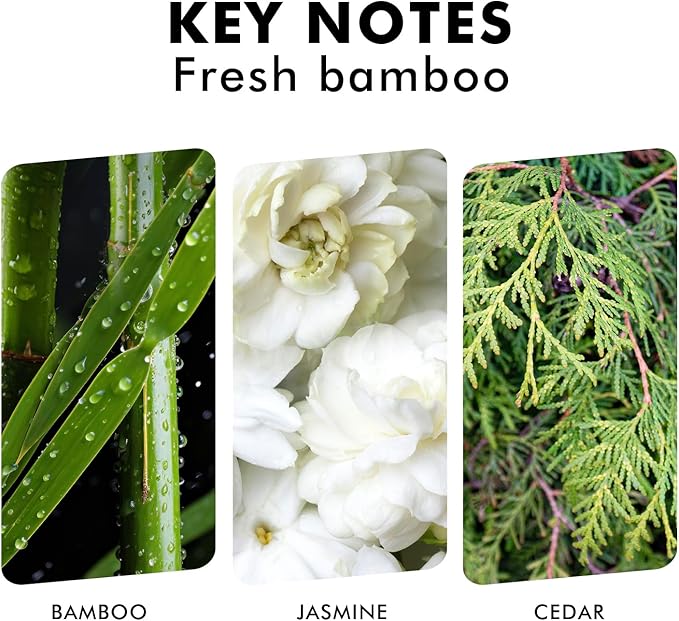 Reed Diffuser, Fresh Bamboo Scented Diffuser with Sticks, Home Fragrance Aromatherapy Oil Diffuser for Bathroom Office Decor