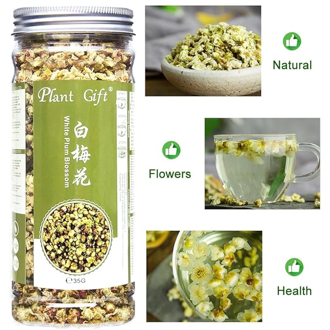 Plant Gift White Plum Blossom Tea Dried Flower Tea, Plum Green Tea Loose Health Tea Herbal Green Plum Bossom Tea 35g