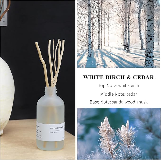 White Birch & Cedar Reed Diffuser, 7.4oz(220ml) Large Bottle Essential Oils, Scented Oil Refill for Waterless Diffuser, Air Freshener for Bathroom with Willow Branches Decor (1-Pack)