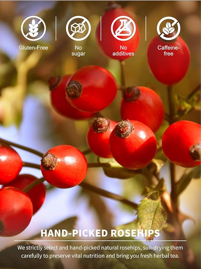 TeeLux Rose Hips Tea Bags, Premium Rosehip Herbal Tea, Fruity Flavor and Aroma, Caffeine-free, 100 Count