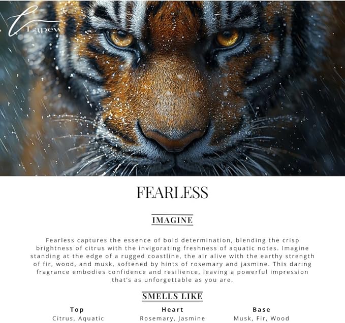 Car Air Freshener Diffuser – 2 Pack Hanging Air Freshener Diffuser (.34 Oz, Fearless)