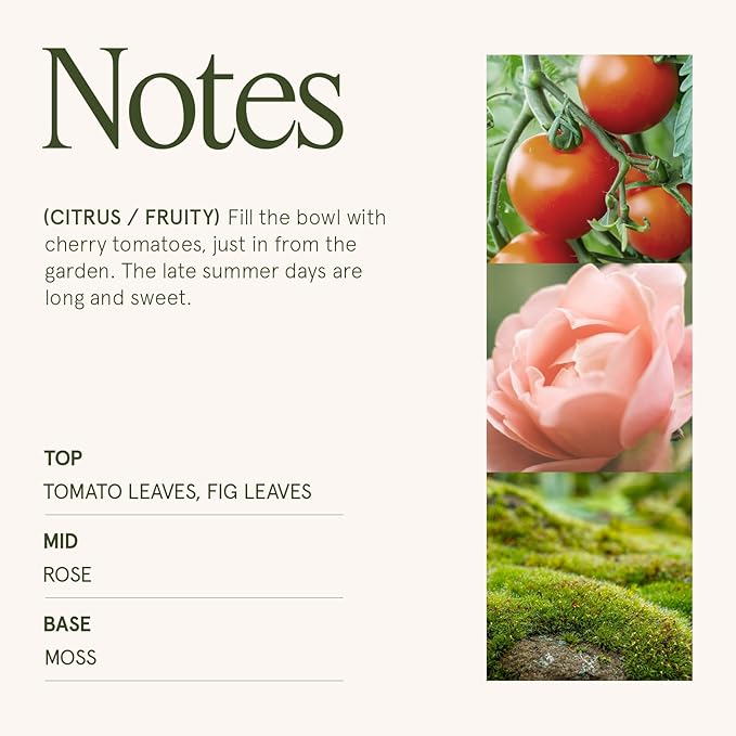 LA JOLIE MUSE Tomato & Vine Candle - Tomato Leaf, Rose, Moss | 6 oz Natural Soy Wax | 40 Hours Clean Burn | Fresh Garden Scented Candle | Gift-Ready for Hosts & Gatherings