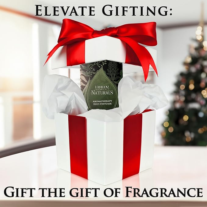 Urban Naturals Crisp Alpine Air Reed Diffuser Set with Eucalyptus, Citrus, Vanilla, Pine & Balsam Notes – 5 Ounce Sleek Black Rectangular Refillable Glass Bottle – Made in The USA