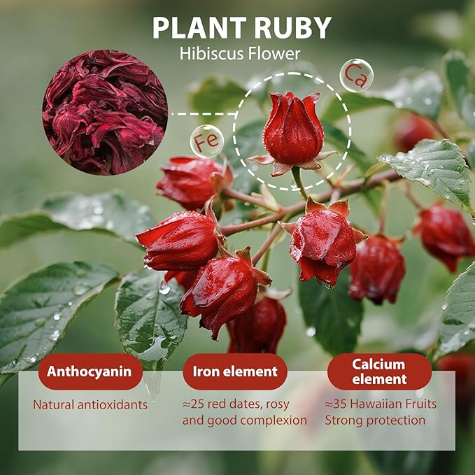 Pure Natural Hibiscus Tea Bags, Clear Heat And Moisturize Dryness, Rich In Antioxidants And Aids Digestion, Refreshing Sweet And Sour Fruity Taste, Caffeine-Free (1 Pack/50 Bags)