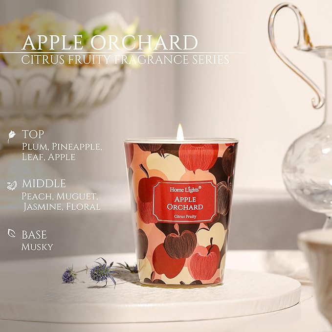 HomeLights Soy Wax Candles for Home Scented, 1-Wick Candles in Apple Orchard Scented, Aromatherapy Candles Gift for Parties, Relaxing, Eclectic Mixed Styles, 6.7oz
