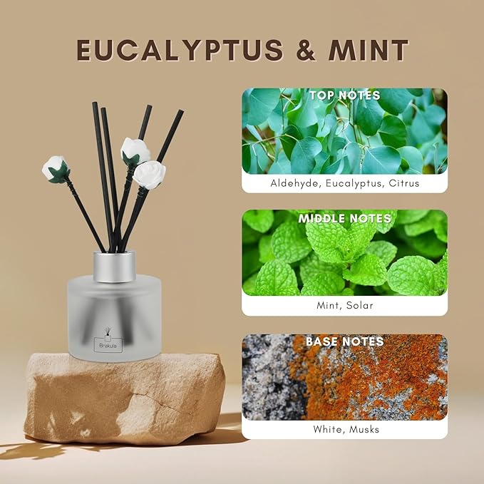 Brakula Reed Diffuser Set, Eucalyptus & Mint Scented, Reed diffusers for Home, Home Fragrance Diffuser with 7 Reed Sticks for Room/Bathroom Decor 3.38 fl oz(Eucalyptus & Mint)