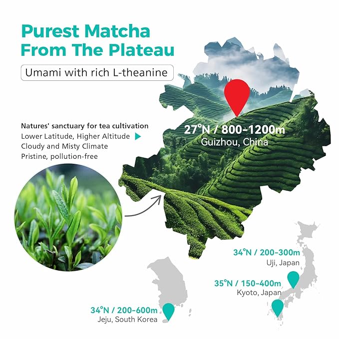 Emerail Organic Matcha Powder, USDA-Certified Pure Matcha Green Tea Powder, Premium Culinary Grade, Perfect for Lattes Smoothies and Baking, Sugar Free (450g / 15.9oz Pouch)