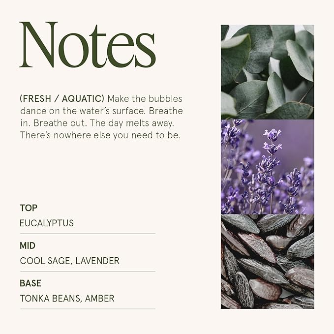 LA JOLIE MUSE Eucalyptus & Alpine Sage Candle - Eucalyptus, Sage, Lavender | 12 oz Large 2-Wick Soy Wax Candle | 60 Hours Clean Burn | Aromatherapy Candle | Gift-Ready for Hosts & Gatherings