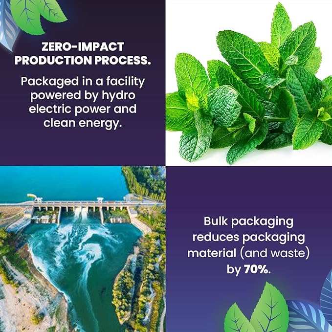 Cederberg Tea Company Organic Spearmint Tea — 30 Tea Bags | Organic Herbal Tea From Single Origin | Eco-Friendly Tea Bags | Non-GMO Caffeine Free Tea With Zero Sugar