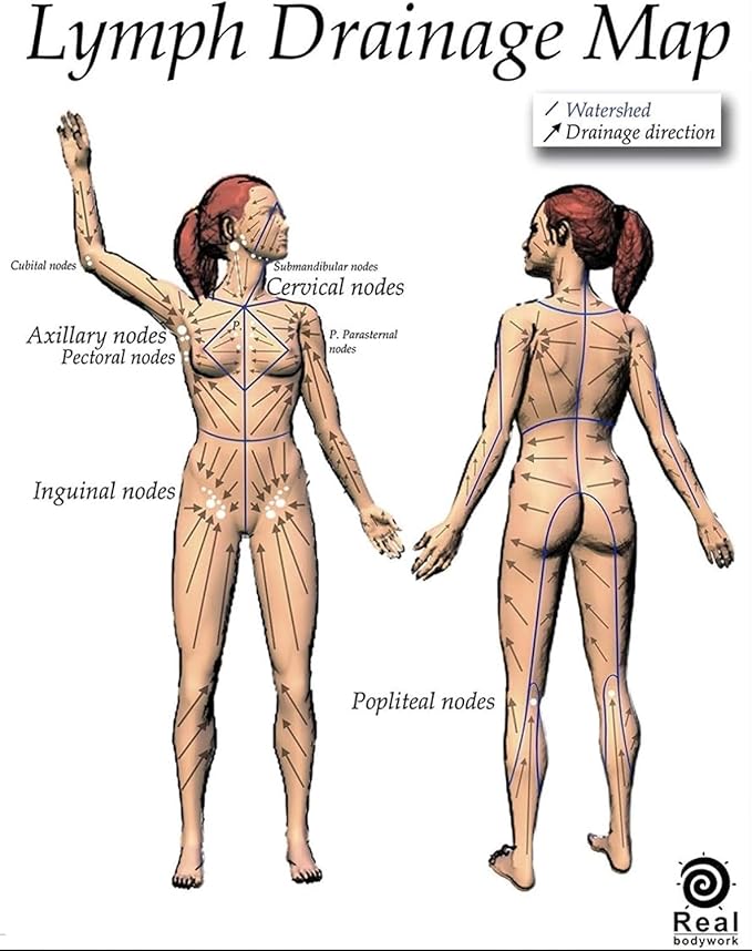 de la heart Wooden Lymphatic Body Massage Tool | Handheld Body Sculpting & Cellulite Massager for Circulation, Muscle Relaxation & Skin Firming | Smooth Wood Maderotherapy Tool for Home Use