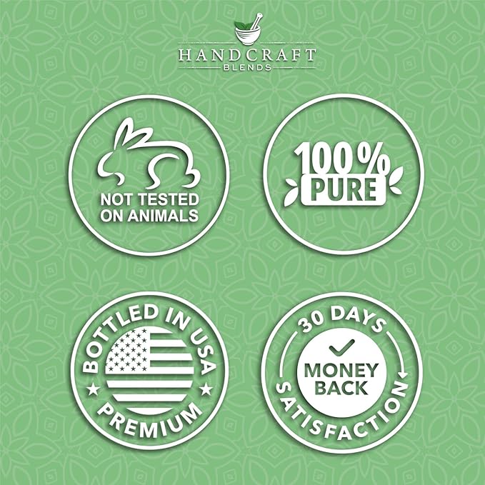 Handcraft Blends Basil Essential Oil – 0.33 Fl Oz – Pack of 2 – 100% Pure and Natural – Premium Grade Essential Oil for Diffuser and Aromatherapy, Skin, Massage, Candle and Soap Making Fragrance