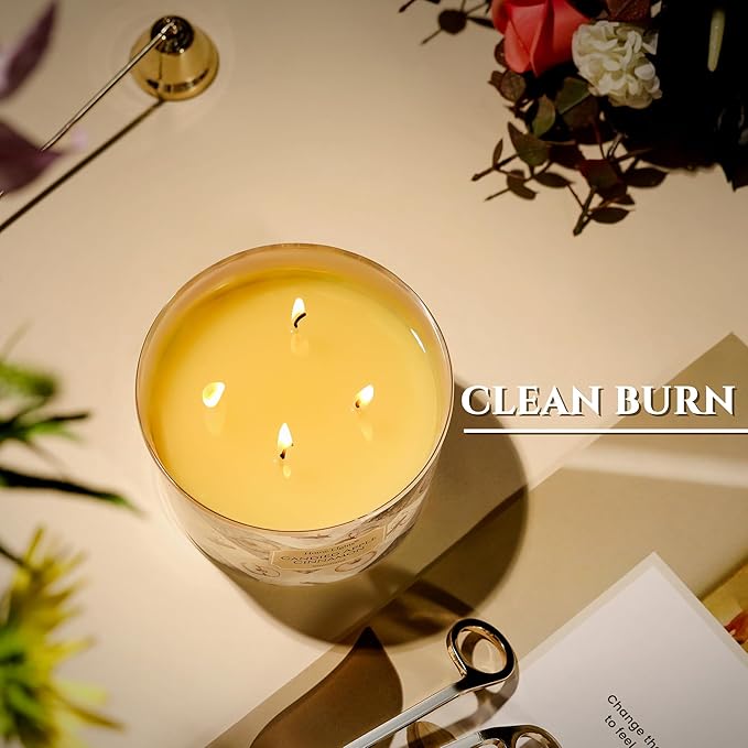 HomeLights Large jar Candle | 4-Wick Long-Lasting Scented Candles, 18oz Natural Soy Wax Candle for Home Scented, Rustic Modern Gifts for Women & Men, Candied Apple Cinnamon