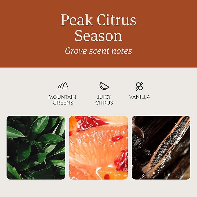 Drift Car Air Freshener - The Original Wood Air Freshener - Car Odor Eliminator - Long Lasting Scent - Auto Accessories - Metal Clip - Essential Oils - Clean Ingredients - Grove Scent Starter Kit