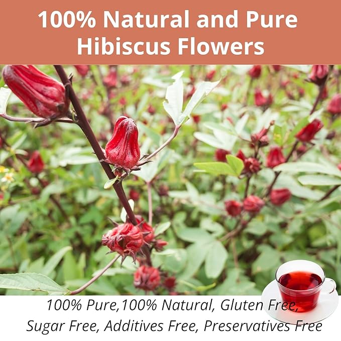 60 Hibiscus Flower Tea Bags, 2g/Bags, VitalForest Hibiscus Tea Roselle Tea, Natural Flor de Jamaica Flower, Caffeine Free, Non-GMO, Unbleached Bags, Canister Packaged