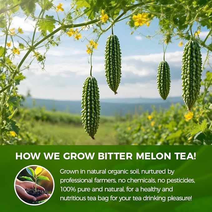 WOTIHA Natural Bitter Melon tea bags 120g. 60 Tea Bags,Natural Healthy Herbal Tea.Non-GMO, Caffeine-Free, Supports Healthy Digestion