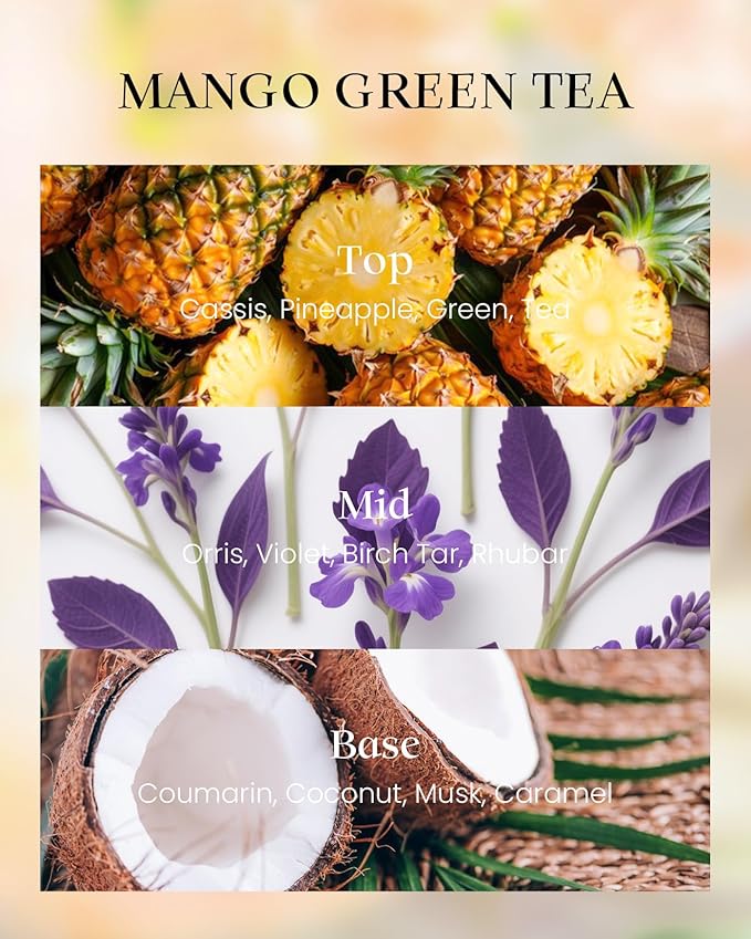 M&SENSE Tea Scented Candles, Vegan Soy Wax, Naturally Scented Mango Green Tea No Toxin 8.1oz Long Lasting 42-Hour Burn Time Relaxing, Aromatherapy, Meditation Candles for Home