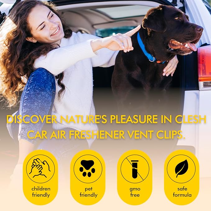 Car Air Fresheners, 6 Pack, Citrus, Car Fresheners Vent Clips, Long Lasting Air Freshener, Car Refresher for Men Women