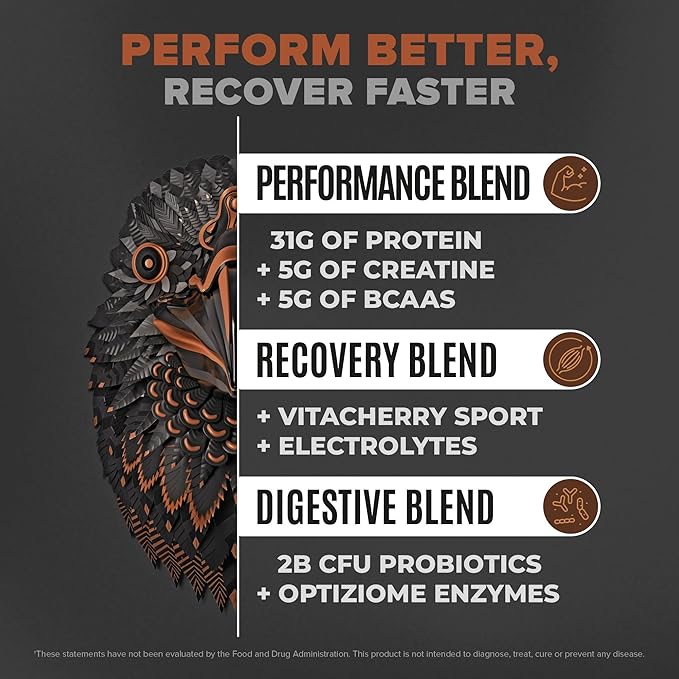 Birdman Falcon Performance Vegan Protein Powder, 31g Protein, 5g Creatine, 5g BCAA, Probiotics, Electrolytes, Pre Workout, Low Carb, Sugar Free & Dairy Free, Plant Based Chocolate Protein, 28 servings