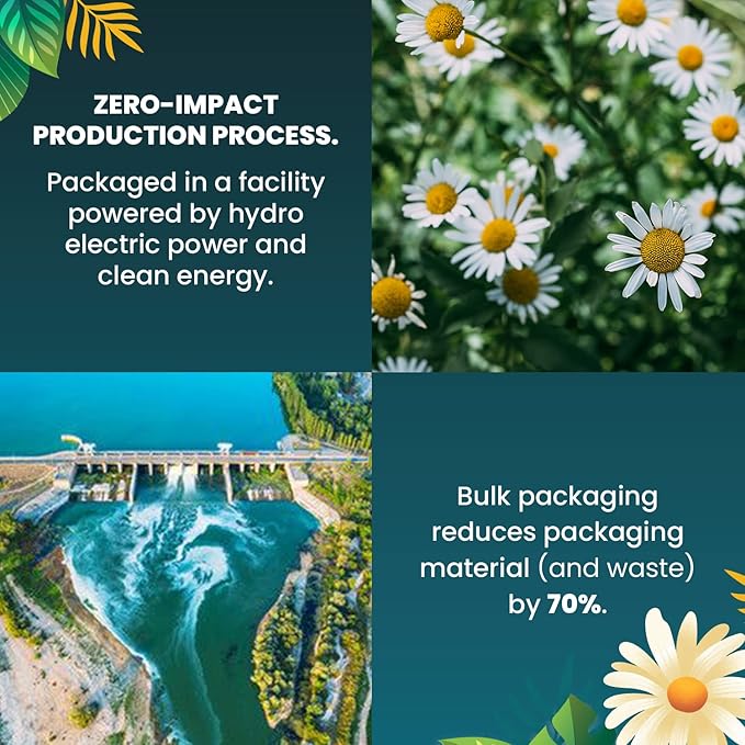 Organic Chamomile Tea — 100 Tea Bags | Organic Herbal Tea From Single Origin | Eco-Friendly Tea Bags | Non-GMO Caffeine Free Tea With Zero Sugar | Cederberg Tea Company